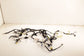 2024-25 Mazda CX-30 2.5 S Dash Instrument Panel Wire Harness DV34-67-030A *ReaD* - Alshned Auto Parts