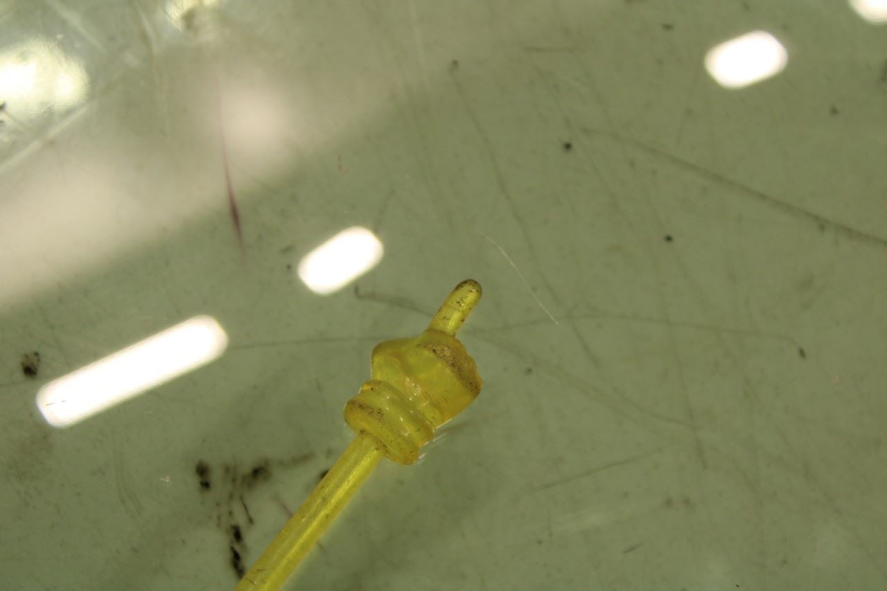 2023-2026 Acura Integra A-Spec Front Right Door Window Glass 73300-3S5-A01 OEM - Alshned Auto Parts