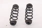 2019-2025 Infiniti QX50 ESSENTIAL Rear Right and Left Side Coil Spring Set - Alshned Auto Parts
