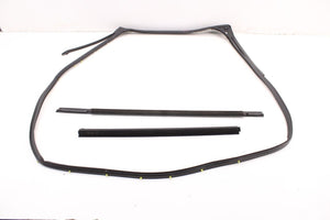 2019-2025 Infiniti QX50 LUXE Rear Left Door Weatherstrip with Belt Molding Set