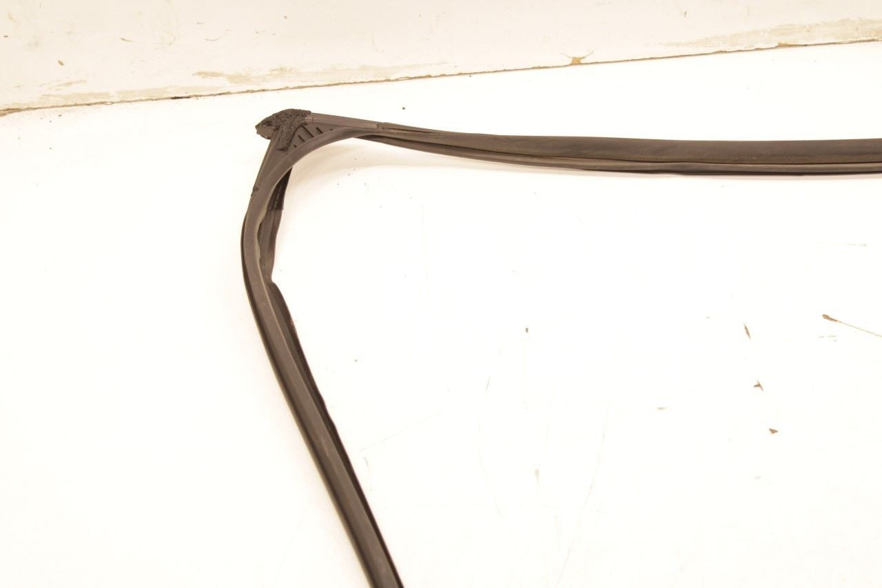 23-26 Acura Integra A-Spec RR RH Door Run Channel with Belt Moding Weatherstrip - Alshned Auto Parts