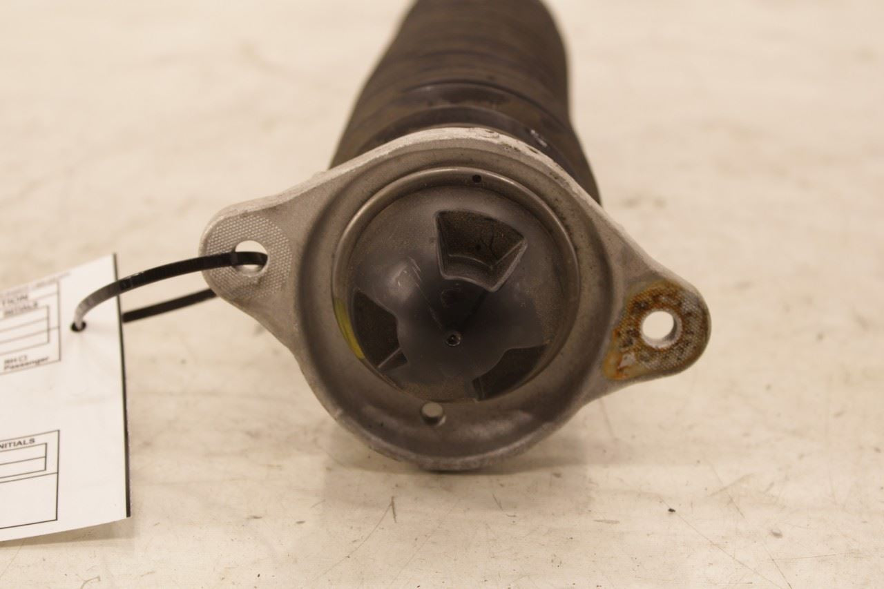 2023-2026 Acura Integra A-Spec 1.5L FWD Rear Right Side Shock Strut Absorber - Alshned Auto Parts
