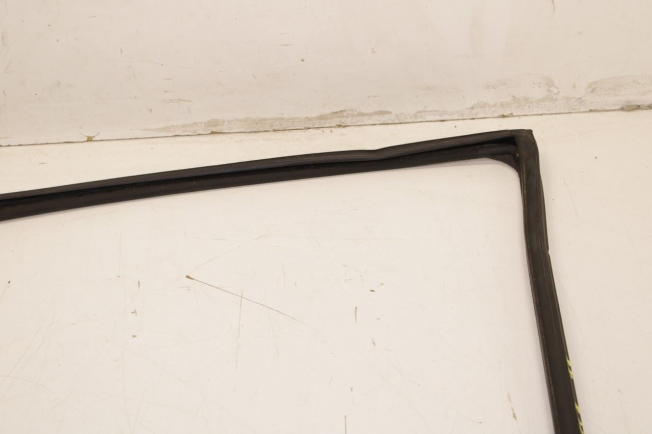 2014-2020 Infiniti QX60 Pure Rear Right Door Run Channel with Belt Outer Molding - Alshned Auto Parts