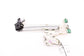 18-26 Honda Odyssey Touring Rear Left Driver Side Door Window Regulator w/ Motor - Alshned Auto Parts