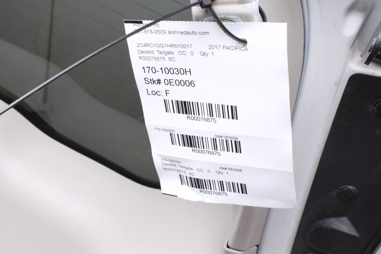 2017 Chrysler Pacifica Limited Liftgate Back Door Shell Panel Assy 68227064AG - Alshned Auto Parts