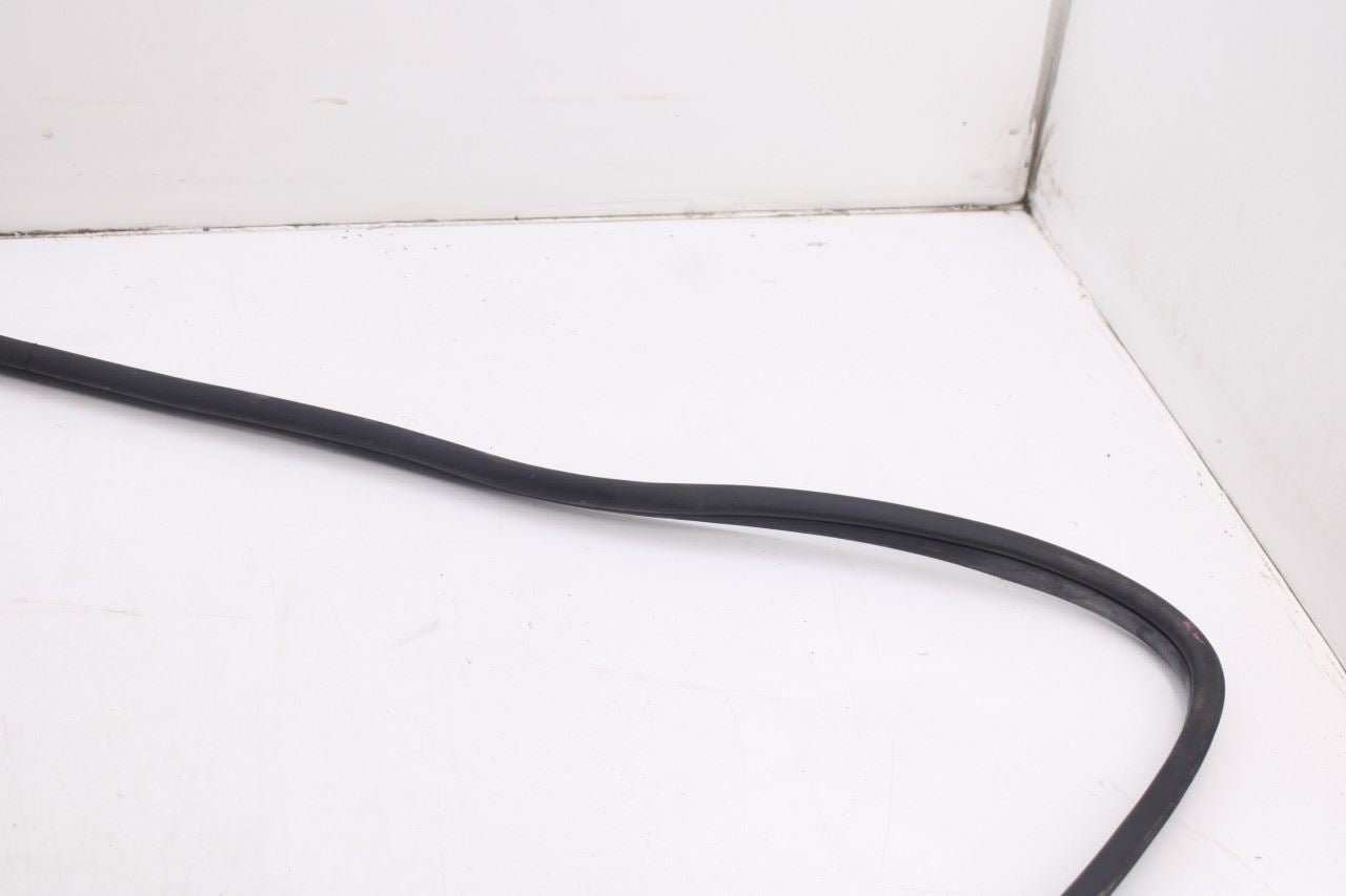 2020-2026 Hyundai Palisade Limited AWD Rear Left Side Door Weatherstrip On Body5