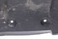 2015-2023 Toyota Tacoma SR5 Rear Right Side Wheelhouse Liner Splash Shield8