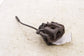2016-2023 Mazda CX-9 Grand Touring Rear Right Passenger Side Brake Disc Caliper - Alshned Auto Parts