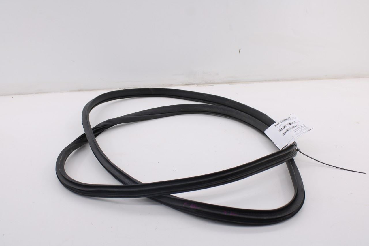 2019-2026 Ram 1500 Big Horn Front Left Side Door Weatherstrip On Body 68402032AA7