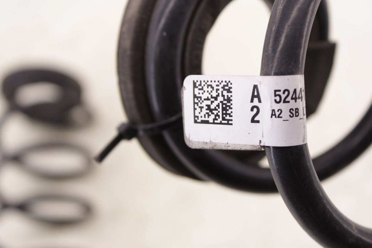 2022-2026 Honda Civic Sport Rear Right and Left Side Suspension Coil Spring Set - Alshned Auto Parts