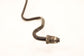 12-18 Jeep Wrangler Sport 2dr 3.6L Power Steering Pressure Line Hose 68078358AI - Alshned Auto Parts