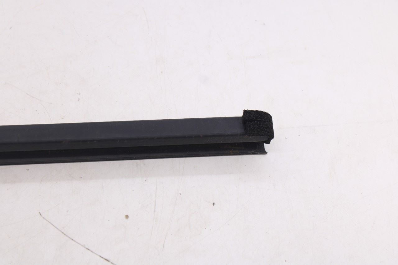 18-26 Ford Expedition Max XLT Front LH Door Run Channel w/ Belt Weatherstrip Set12