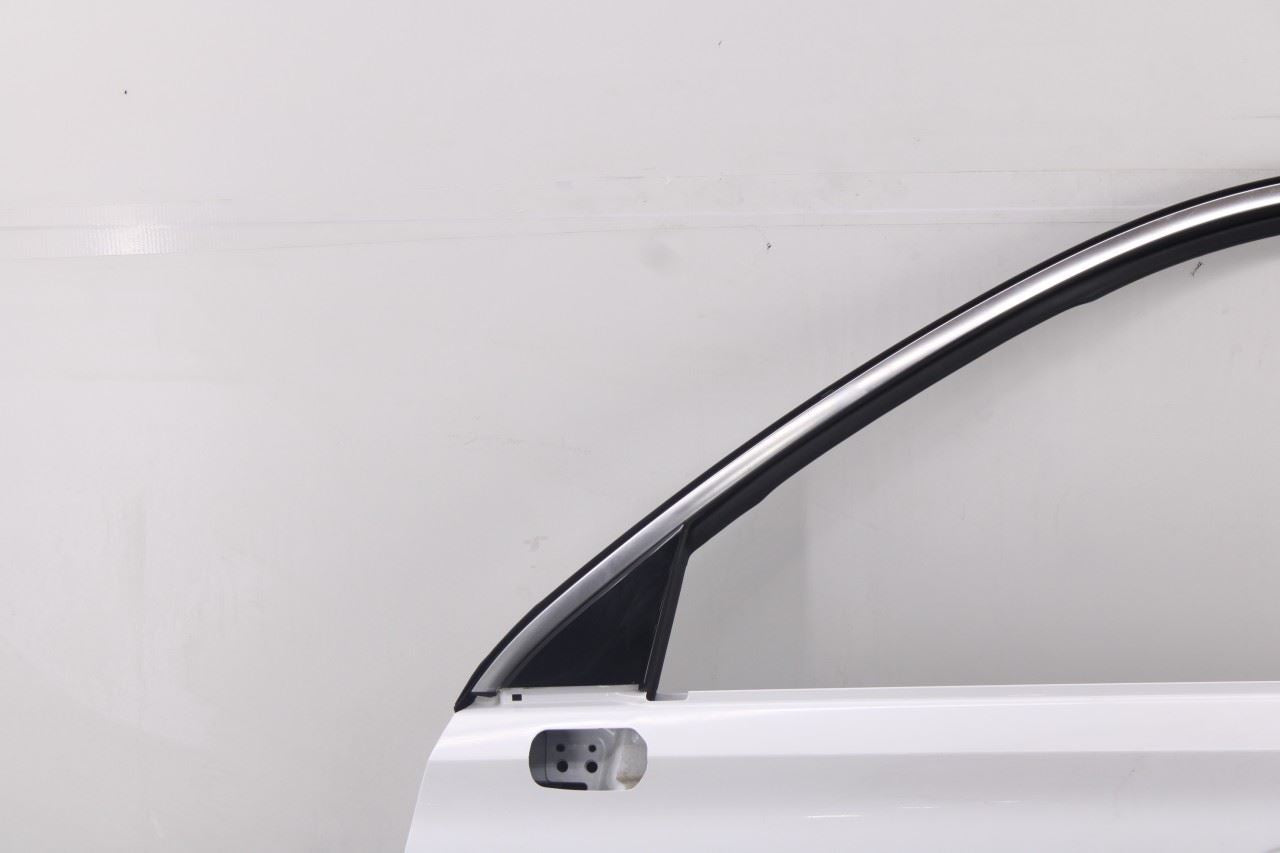 20-26 Hyundai Palisade Limited AWD Front Left Side Door Shell Panel 76003-S80003