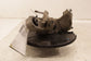 2019-2025 Acura RDX SH-AWD Rear Right Side Spindle Knuckle Hub 52210-TJB-A03 OEM - Alshned Auto Parts