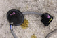 2011-21 Mitsubishi Outlander Sport SE 2.0L Front and Rear Oxygen Sensor 1588A1448