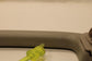 2014-17 Nissan Rogue SV Roof Headliner Grab Grip Handle Set of 4 73940-3NA0A OEM - Alshned Auto Parts
