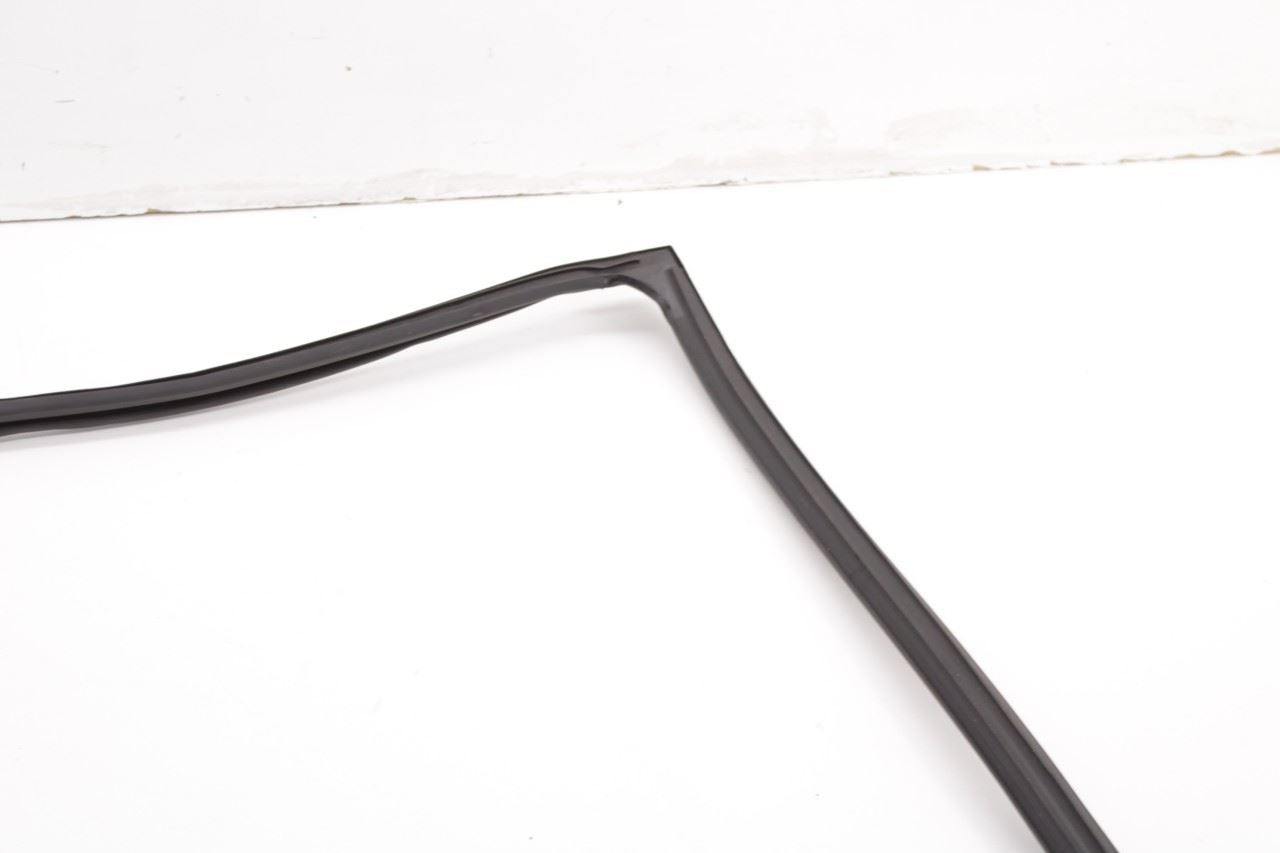 2013-2019 Nissan Sentra SL Rear Left Door Run Channel with Belt Outer Molding - Alshned Auto Parts