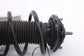 2015-2021 Ford Mustang GT 5L RWD Front Right Passenger Side Shock Strut Absorber9