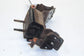 11-23 Ford F150 SuperCab Lariat 2.7L 4WD Auto Transmission Mount Support Bracket - Alshned Auto Parts