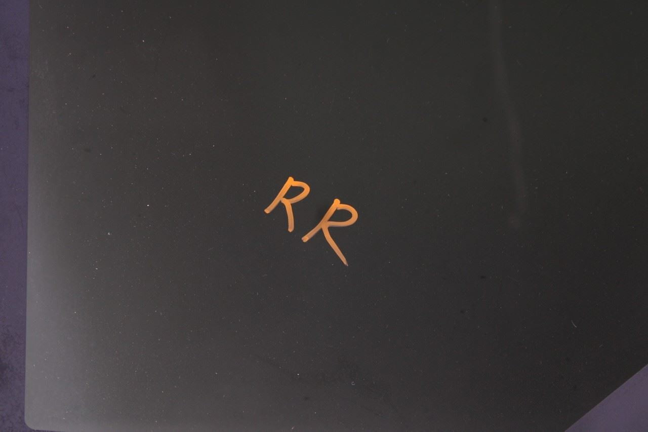 2019-2025 Infiniti QX50 LUXE Roof Rear Sunroof Window Glass 91604-5NA0A OEM - Alshned Auto Parts