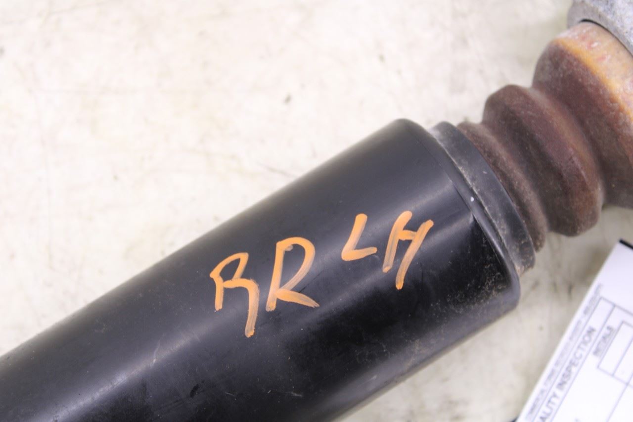 2017-2020 Lincoln MKZ Reserve 2L AWD Rear Left Driver Side Shock Strut Absorber - Alshned Auto Parts