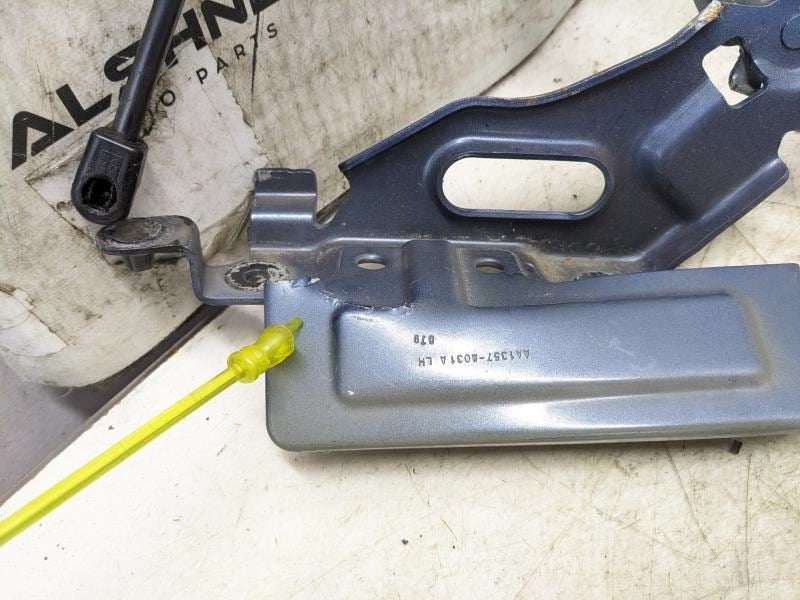 18-23 Ford Expedition Hood Hinges w Lift Cylinder Shocks JL1Z-16796-A OEM *ReaD* - Alshned Auto Parts