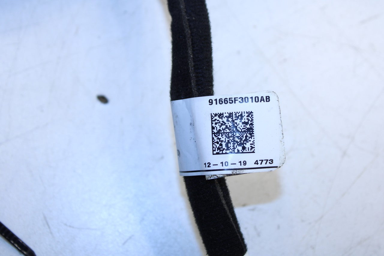 2019-2020 Hyundai Elantra SEL Rear Right Side Door Wire Harness 91665-F3010 OEM - Alshned Auto Parts