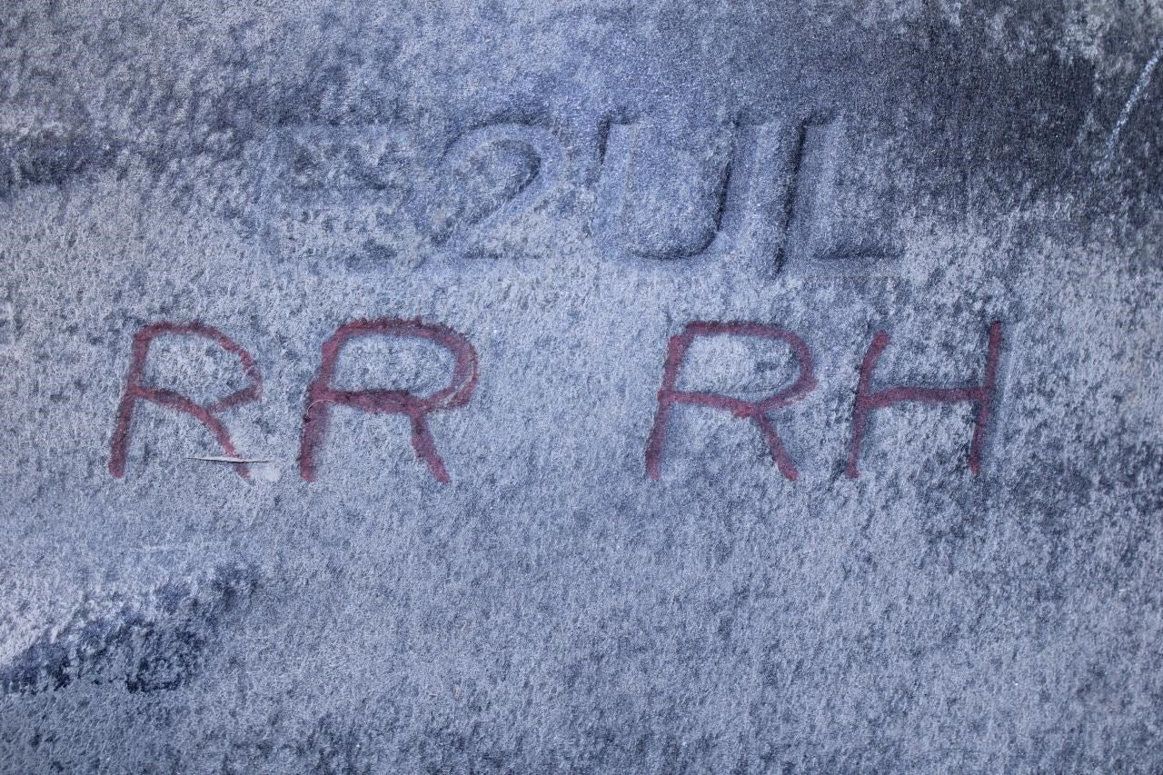 24-25 Cadillac XT4 Rear Right Quarter Wheelhouse Liner Splash Shield 42842002 - Alshned Auto Parts