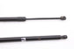 11-20 Toyota Sienna Rear Right and Left Liftgate Lift Cylinder Strut 68950-08011 - Alshned Auto Parts