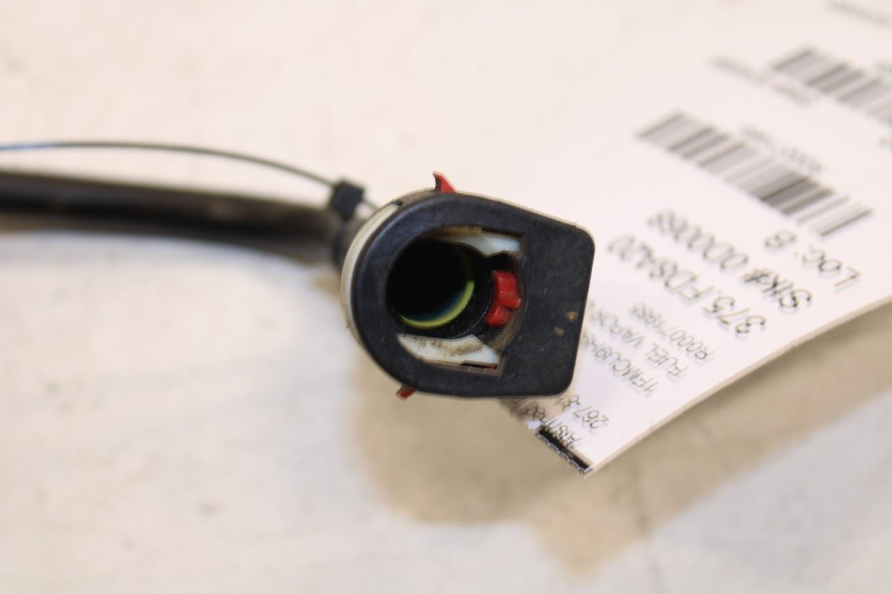 2020-2025 Ford Escape SEL 2.0L AWD Fuel Emission System Vapor Canister Hose Tube - Alshned Auto Parts