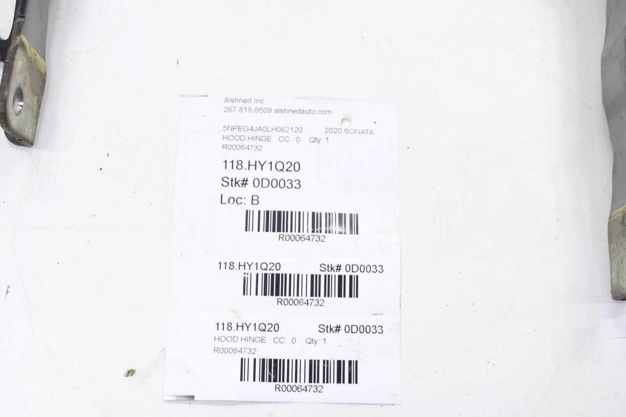 2020-2022 Hyundai Sonata SE Front Right and Left Hood Hinge w/ Lift Cylinder Set - Alshned Auto Parts