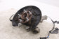 2019-21 Hyundai Veloster 2.0L FWD Rear Suspension Right Side Spindle Knuckle Hub - Alshned Auto Parts