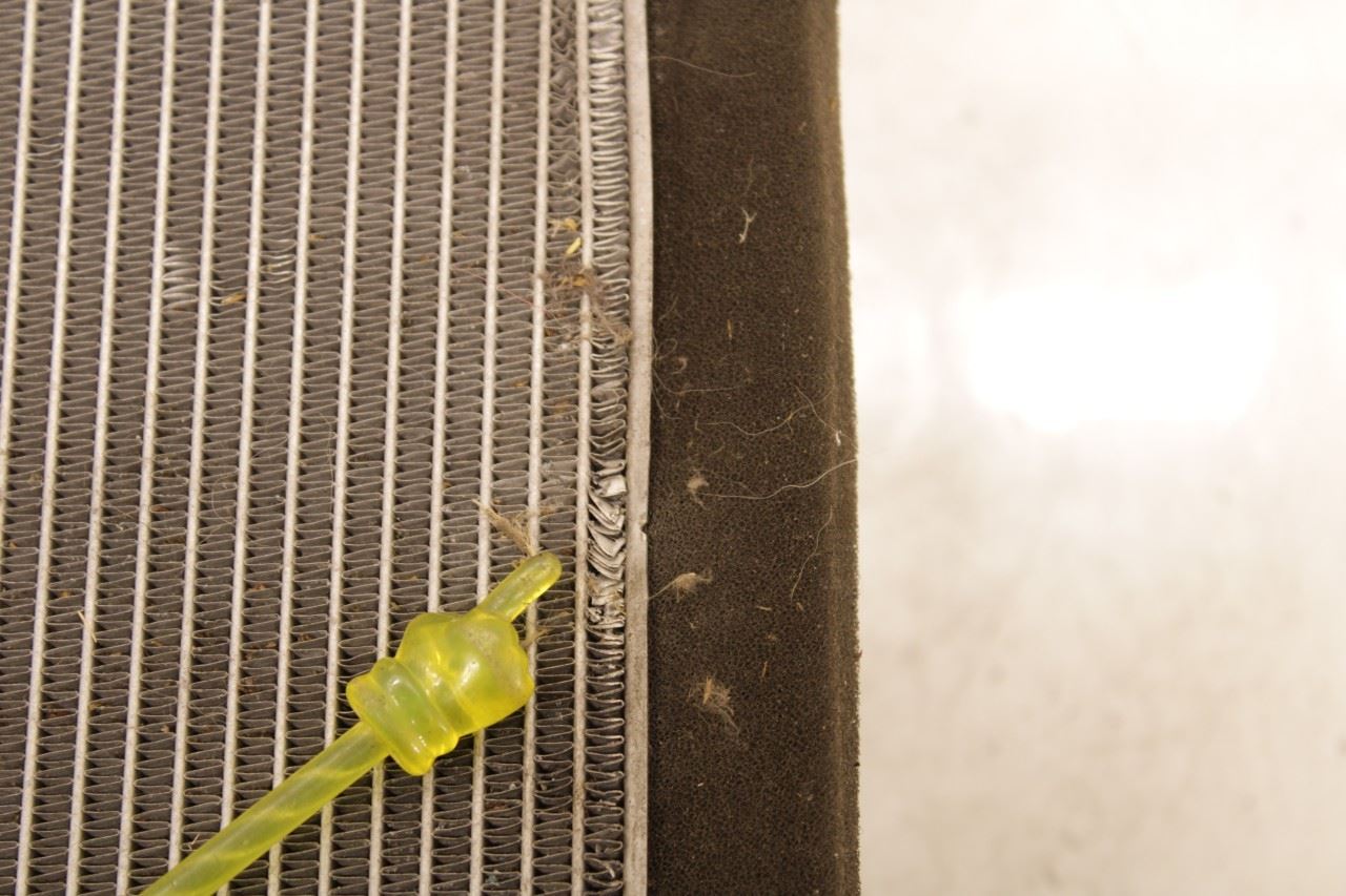 2018-2022 Ford EcoSport SE 1L Engine Cooling Radiator GN11-8005-CC *ReaD - Alshned Auto Parts