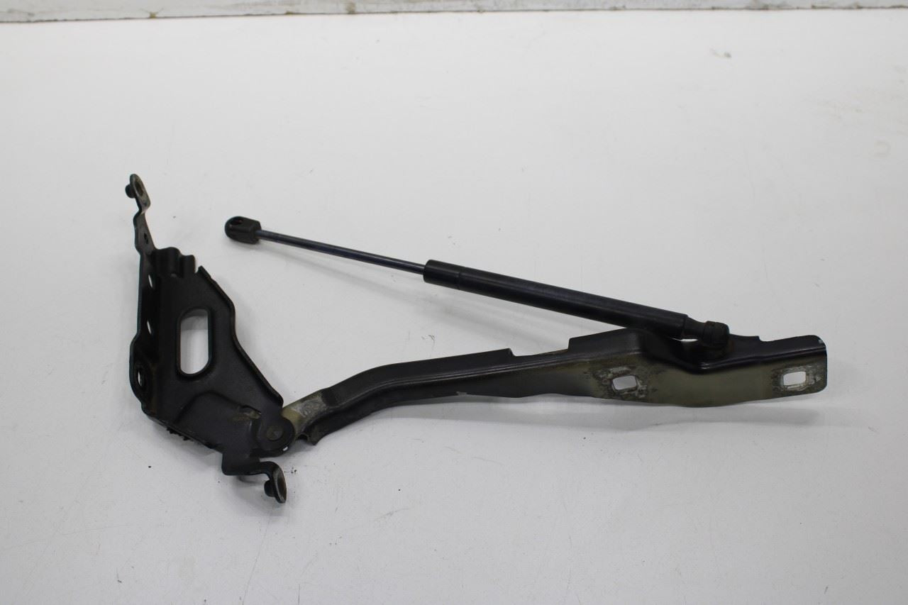 2015-20 Ford F150 Super Cab Lariat Front RH and LH Hood Hinge Set w/ Lift Struts - Alshned Auto Parts