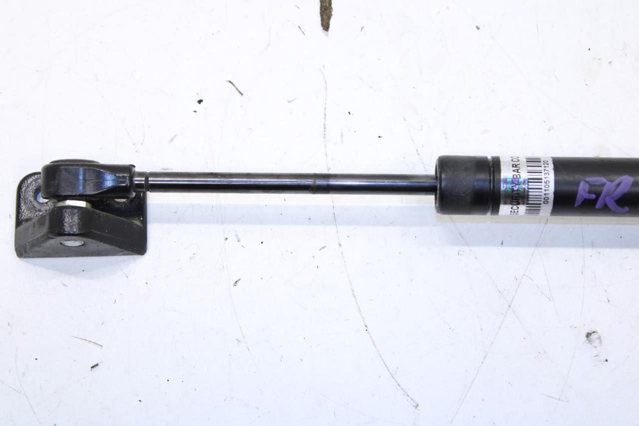 07-11 Mercedes-Benz S550 Front RH or LH Door Check Strap Shock Strut 2217200716 - Alshned Auto Parts