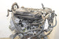 13-15 Lexus GS350 3.5L AWD Engine 2GRFSE VIN E 5th digit 115K 1900031D53 *ReaD* - Alshned Auto Parts