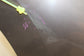 2015-2024 Nissan Murano Platinum Rear Right Door Shell Panel 82100-5AA0A OEM - Alshned Auto Parts