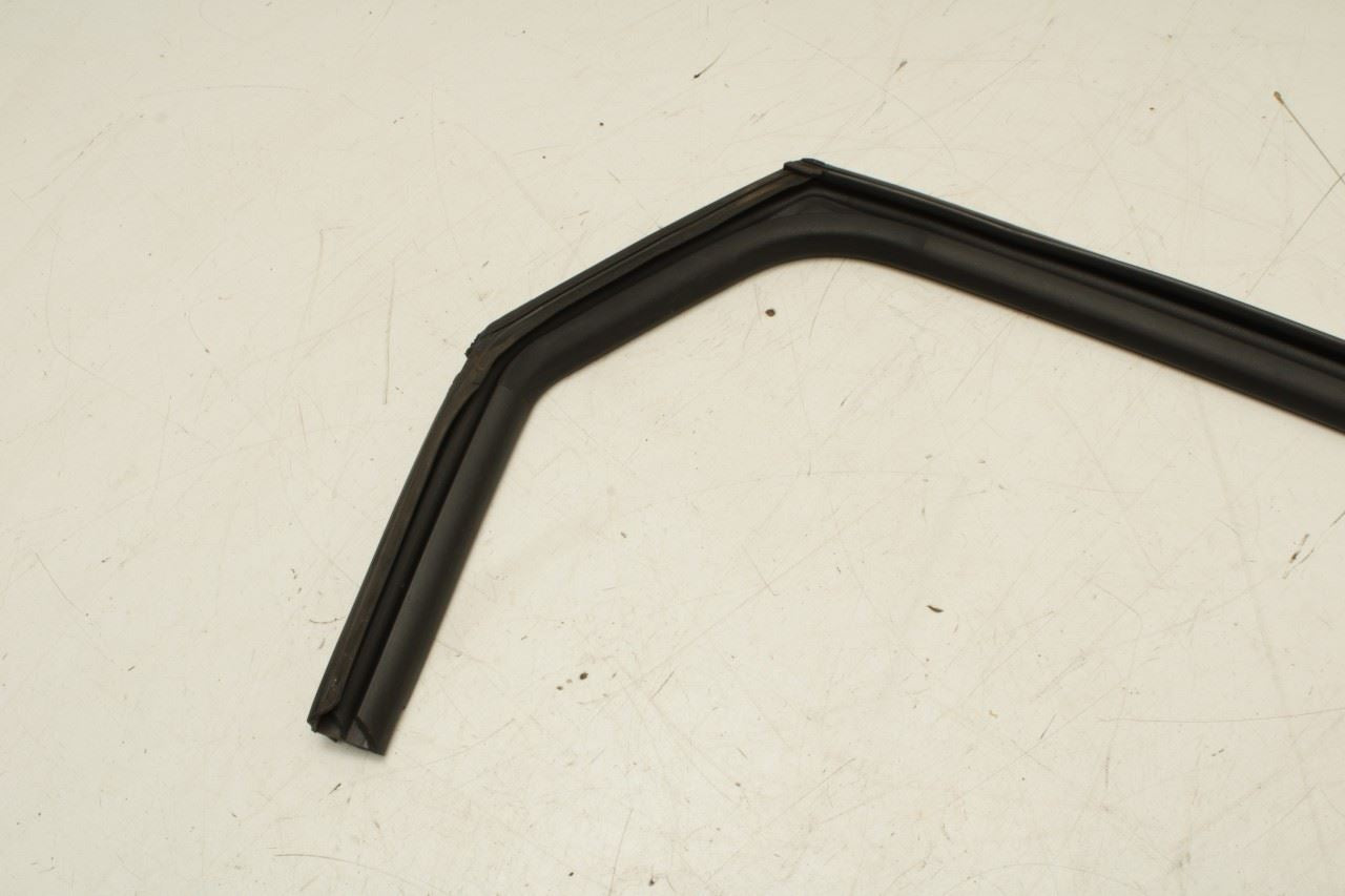 2023-25 Kia Sportage Hybrid EX Rear Right Door Run Channel w/ Belt Weatherstrip - Alshned Auto Parts