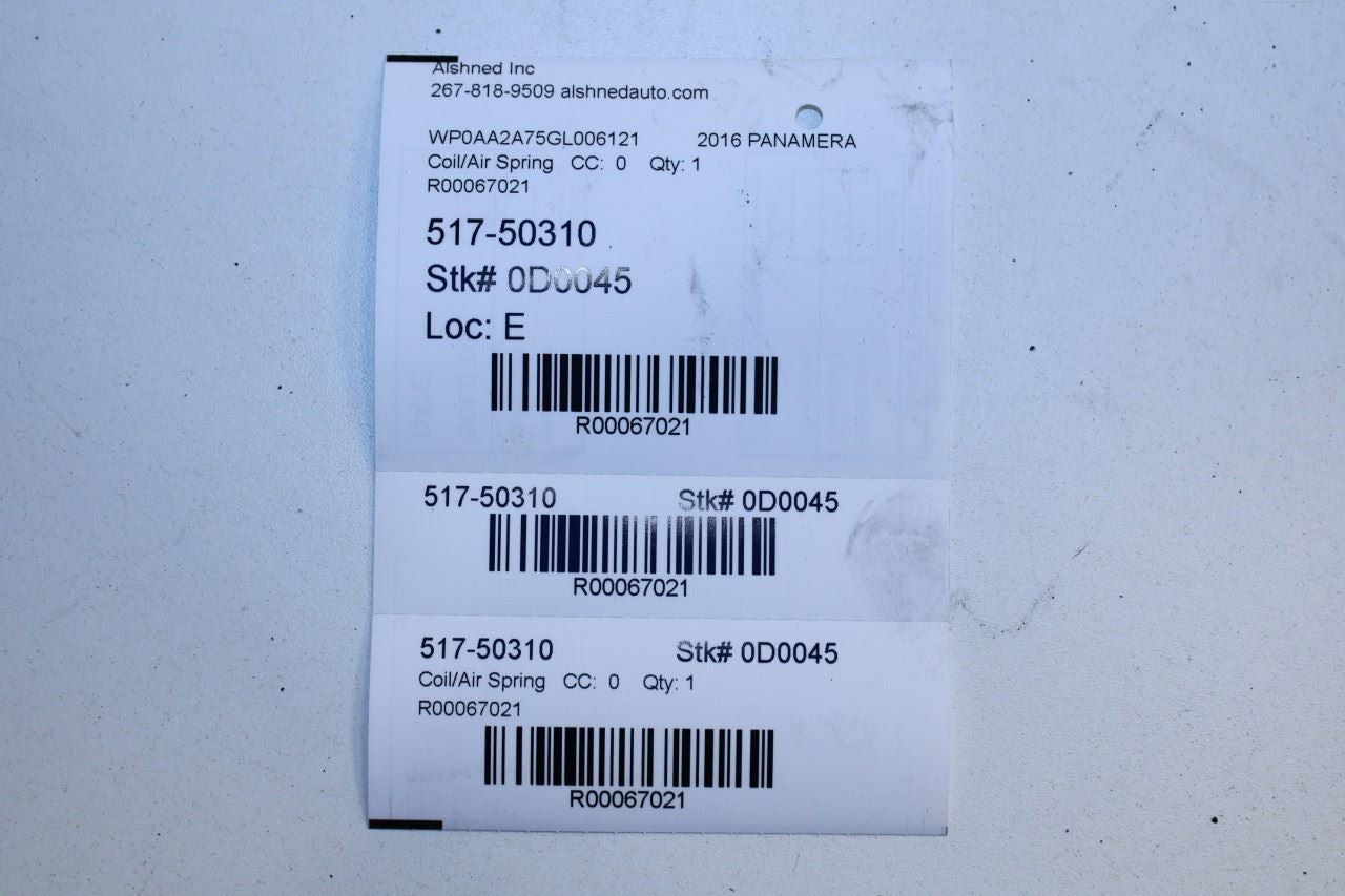 10-16 Porsche Panamera 4 AWD Rear Right and Left Side Suspension Coil Spring Set - Alshned Auto Parts