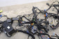 2017-2020 Maserati Ghibli Rear Fuse Box with Wire Harness 670036297 OEM - Alshned Auto Parts