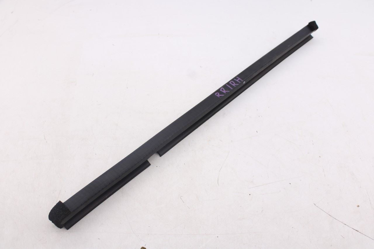 2018-2026 Ford Expedition Max XLT Rear Right Door Belt Molding and Weatherstrip3