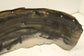 18-21 Ford Expedition Rear Right Quarter Liner Splash Shield JL1B-280K73-AC OEM - Alshned Auto Parts