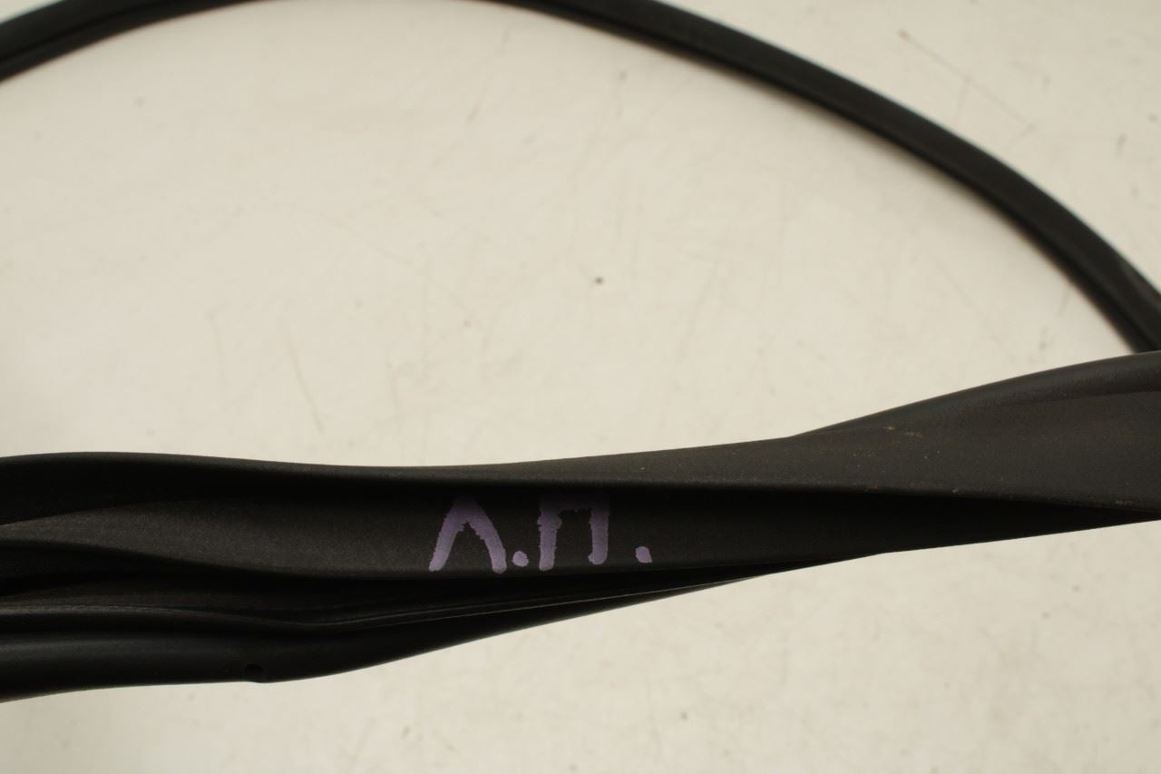 2023-25 Kia Sportage Hybrid EX Front Left Door Weatherstrip On Body 82110-P1000 - Alshned Auto Parts