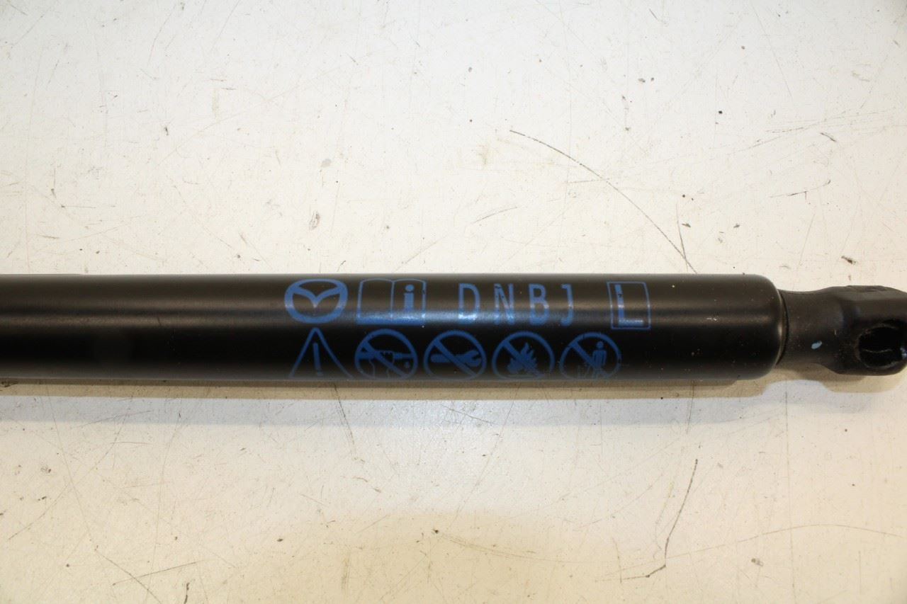 2024-2025 Mazda CX-30 2.5 S Right and Left Side Liftgate Support Cylinder Strut - Alshned Auto Parts