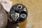 2018-2023 Volkswagen Atlas S 3.6L Engine Starter Motor 02M911021P OEM - Alshned Auto Parts