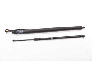 17-2020 Chrysler Pacifica Rear RH and LH Liftgate Power Lift Strut 68230340AD