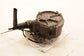 2018-2021 Volkswagen Atlas S 3.6L AWD Engine Brake Vacuum Pump 03H-145-100-C OEM - Alshned Auto Parts