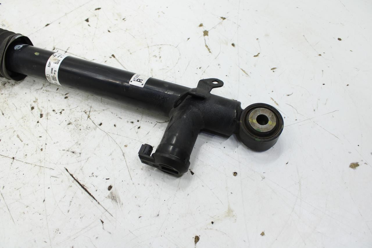 2018-22 Honda Accord 1.5L FWD Rear Right Shock Strut Absorber 52611-TVA-L92 OEM - Alshned Auto Parts