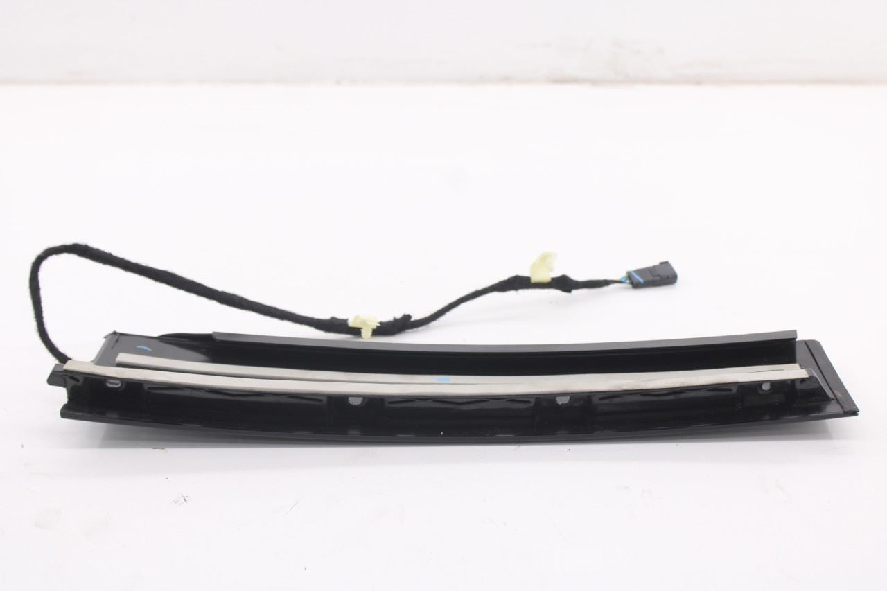 2015-26 Ford F150 XLT Front Left Door B-Pillar Applique Molding FL3Z-1520555-SG6