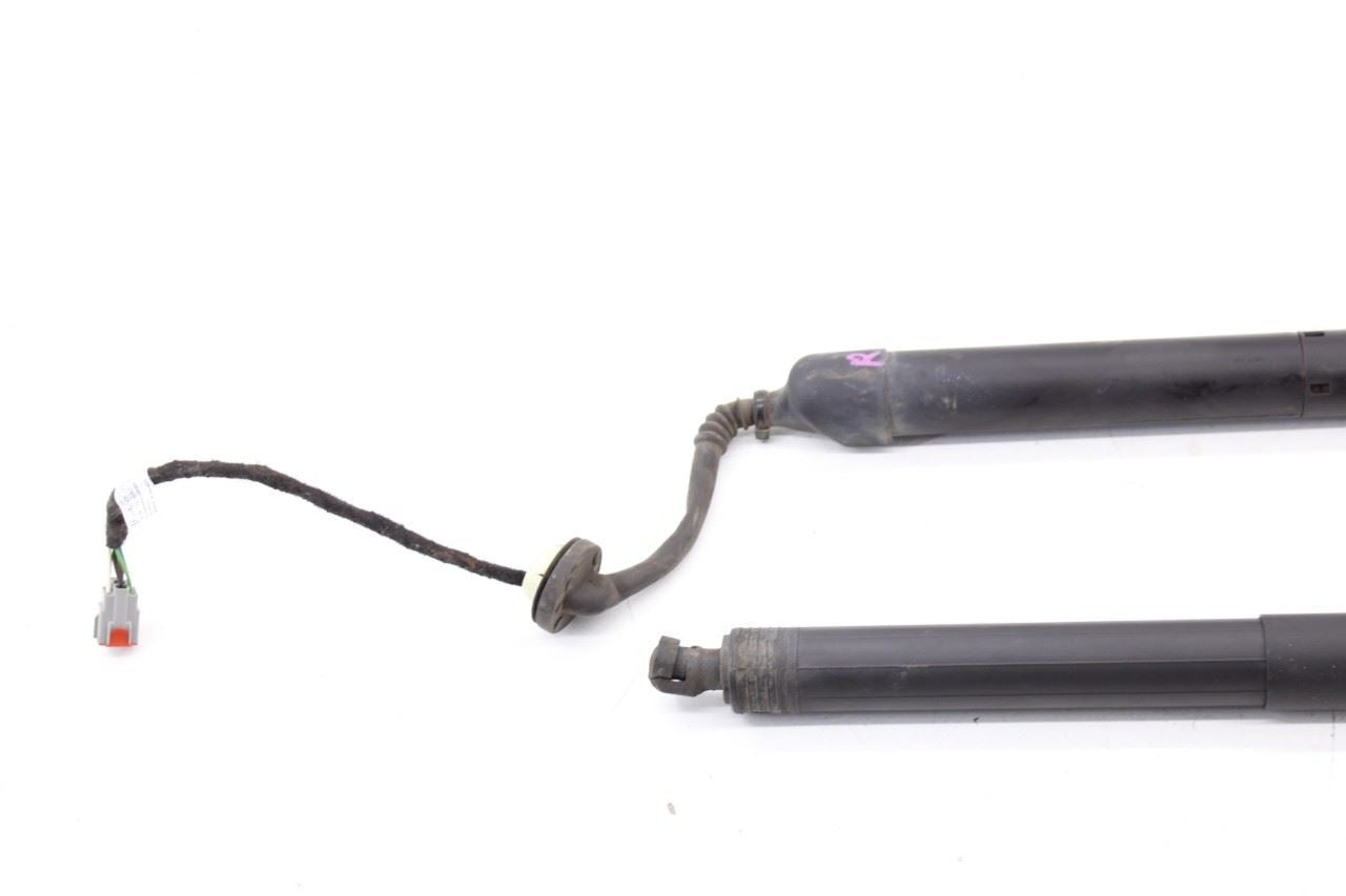 18-24 Ford Expedition RR Right and Left Liftgate Power Lift Strut JL1B78402A55AC2